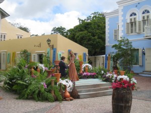 Jef Holm Emily Maynard proposal Curacao